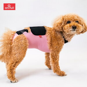 �yanifull �����z �L�Y�����G�v���� SE ���p �s���N S�T�C�Y �A�j�t�� �_�C���H�� ���{�� ���p�i ���p �� �������� �L�Y�O�` �L�Y���� �G�v���� �p�㕞 �p�� ���̎q ���X �� S ������