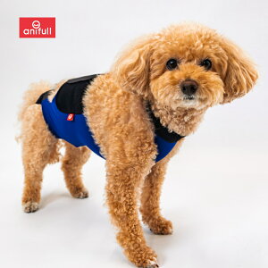 �yanifull �����z �L�Y�����G�v���� SE ���p �l�C�r�[ L�T�C�Y �A�j�t�� �_�C���H�� ���{�� ���p�i ���p �� �������� �L�Y�O�` �L�Y���� �G�v���� �p�㕞 �p�� �j�̎q �I�X �� L