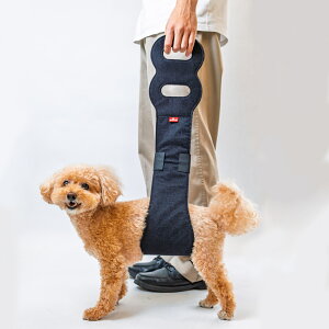 �A�j�t�� (anifull) �A�j�T�| �����グ�x���g ���`���^���p ��� ���p ���� ��� � ���s�⏕ �r�͒ቺ �͈ؗێ� �ؗ͒ቺ �g���[�j���O ���^�� ���^�� ������