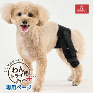 【anifull 公式】 【レンタルサービスわんトライ便+】アニサポ パテラン レンタル 小型犬向け アニフル …