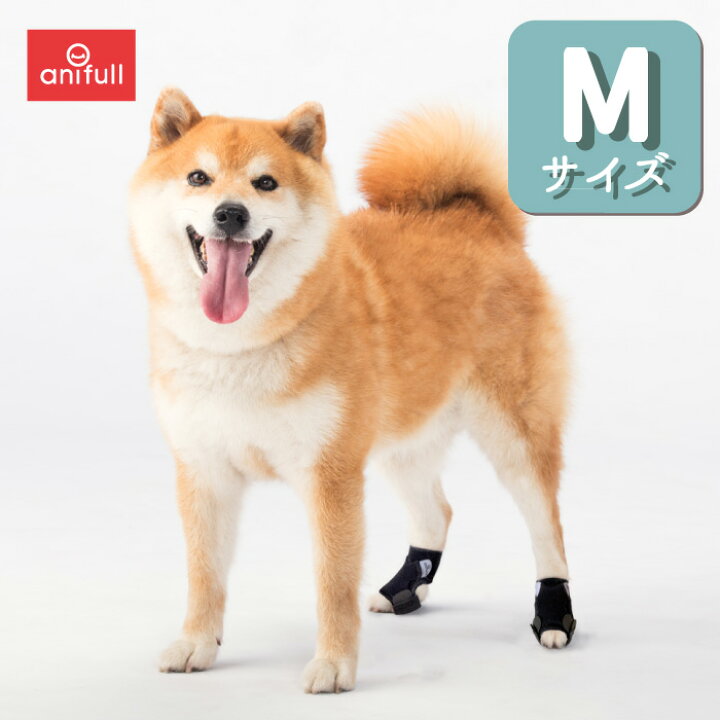 楽天市場 12 000個突破記念 送料無料 犬用品 足 サポーター 指 爪 保護 アニサポ ナックルン Mサイズ 左右セット 前 後足兼用 日本製 ダイヤ工業 Anifull アニフル 愛犬と一緒に歩くを叶えるanifull