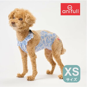 yanifull z ylR|X zLYGv(NEW) yCY[u[ XSTCY Ajt _CH { pi p   LYO` LY Gv p㕞 p j̎q