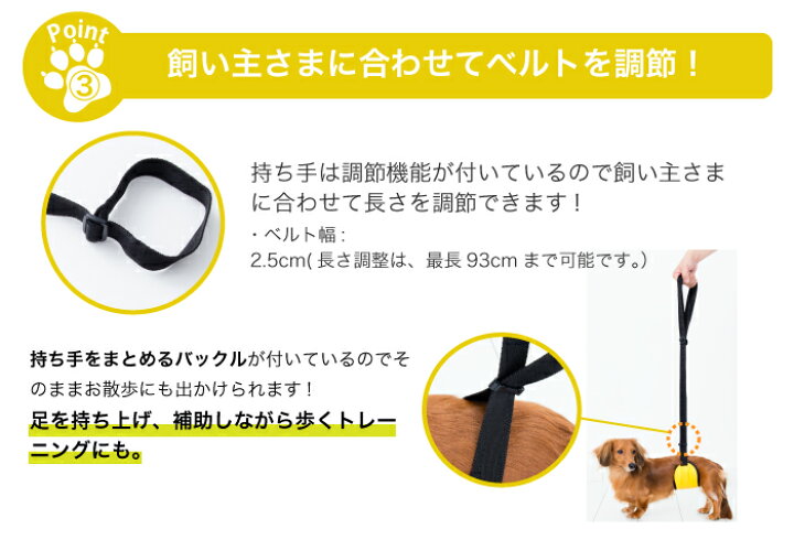 出荷 愛犬と一緒に歩くを叶える anifull〜大切な家族に お年玉 冬ギフト〜 犬用品 犬用コルセット ハーネス 術後 介護 わんコル With Mサイズ 日本製 ダイヤ工業 anifull アニフル 送料込 minex.com.co