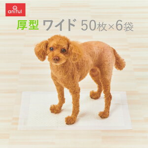 yanifull z ^ Yh~ ybgV[c Ch50×6 Ajt  p Lp Lp gCV[g gCV[c L V[c  ybgV[g z TCY gC z 