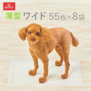 yanifull z ^ Yh~ ybgV[c Ch 55×8 Ajt  p Lp Lp gCV[g gCV[c L V[c  ybgV[g z TCY gC z 