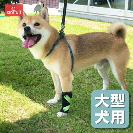楽天市場 犬用 首サポーターの通販