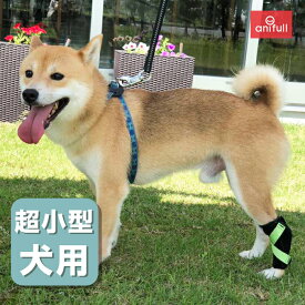 楽天市場 小型犬 足 サポーターの通販