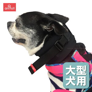 サポーター オーダーメイド 犬用品の人気商品 通販 価格比較 価格 Com サポーター オーダーメイド 犬用品の人気商品 通販 価格比較 価格 Com