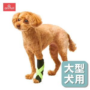 サポーター オーダーメイド 犬用健康管理用品の人気商品 通販 価格比較 価格 Com