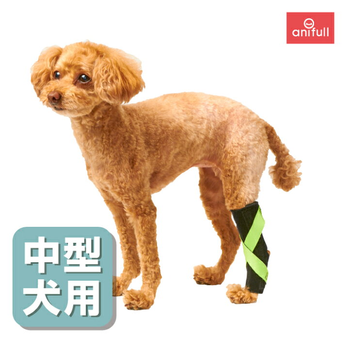 楽天市場 犬用品 足 後ろ足 足根関節 サポーター 固定 制限 底屈 背屈 歩行補助 足首 サポーター 中型犬用 体重11 24ｋｇ オーダーメイド 日本製 ダイヤ工業 Anifull アニフル 愛犬と一緒に歩くを叶えるanifull