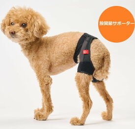 【anifull 公式】 アニサポ ヒップ 小型犬向け アニフル ダイヤ工業 日本製 犬用品 犬 犬用サポーター 犬用 股関節サポーター 犬用股関節 股関節サポート 股関節 股 後肢 後足 後ろ足 制限 外転 外転制限 歩行補助 ヒップ