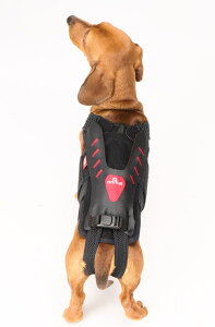 �yanifull�Ŏg����500�~OFF�N�[�|���Ώۏ��i�z�yanifull �����z ���R�� With ��p�J�o�[ M�T�C�Y �A�j�t�� �_�C���H�� ���{�� ���R��With �R���Z�b�g �� ���p�R���Z�b�g ���p �J�o�[ ���� ���E ��