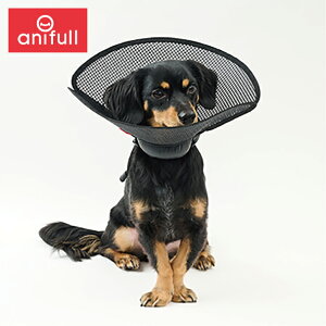 yanifull z AjT| ƂJ[ ubN  Lp bV Ajt {  L GUxXJ[ p㕞 p ȒP g~O O[}[ J[ y 畆