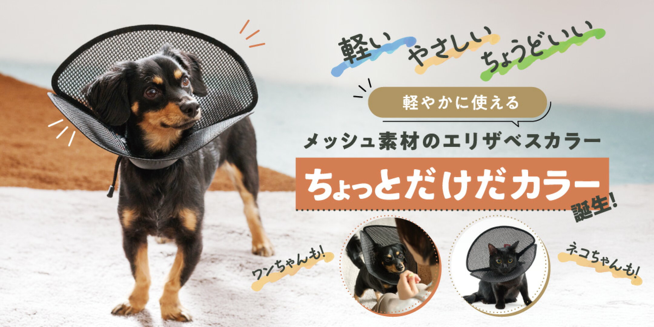 ちょっとだけだカラーページ