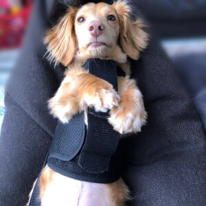 yanifullŎg500~OFFN[|Ώۏizyanifull z RpYh~Ixg Ajt _CH { pi p pRZbg RZbg  p     w