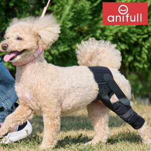 yanifull z AjT| pe ^ Ajt { pi  p GT|[^[ pT|[^[ pGT|[^[ \tg \tg^Cv x  Œ  s⏕ 㑫 G