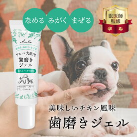 【獣医師監修】アニハ 犬猫用歯磨きジェル 30g なめる・みがく・まぜる ペット用歯磨き 歯垢除去 口臭対策 デンタルケア