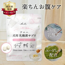 【獣医師監修】アニハ 犬用 乳酸菌サプリ 60粒入り 24種の乳酸菌・NMN・ユーグレナ配合 お腹の健康サポート おやつ