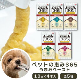 【最大2000円OFFクーポン配布中】ペットの恵み365 うまみペースト 10g × 4本 犬 おやつ 野菊花 高麗人参 ハトムギ サンザシ 霊芝 ちゅーる 犬用ちゅーる ペースト ウェットフード