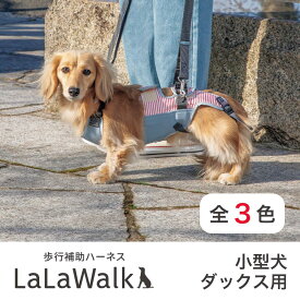 【最大2000円OFFクーポン配布中】歩行補助 ハーネス LaLaWalk 小型犬 ・ ダックスフンド チワワ トイプードル ミニチュアダックス ポメラニアン コーギー シニア 犬 ヘルニア 犬介護 トンボ with 【サマーストライプ / ロンドンミニチェック / フラワー】