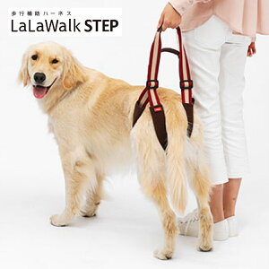 ^ ^ pn[lX s⏕n[lX LaLaWalk STEP EH[N Xebv 㑫p CuE / S[fgo[ uh[ O[gf[ VFp[h Č R[M[ 