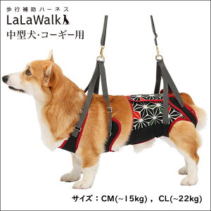 yő2000~OFFN[|zzzs⏕n[lX LaLaWalk ^ E R[M[ [KABUKI] / R[M[ Č pO r[O t`uhbO _bNXth V[Y[ VjA wjA n[l