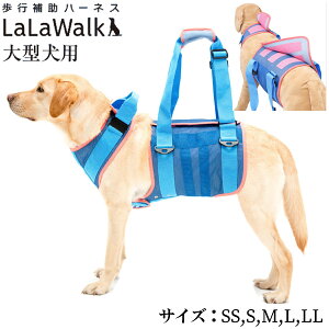 yő2000~OFFN[|zzzn[lXLaLaWalk ^p N[bV / S[fgo[ uh[ O[gf[ VFp[h VjA s⏕  g{ with iԁF2TA0