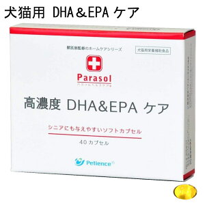 yő2000~OFFN[|zzz p\wXPA ZxDHAEPAPA (40JvZ) Lph{⏕Hi Tvg