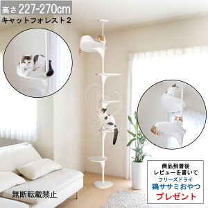 yő2000~OFFN[|zzz OPPO CatForest2 LbgtHXg2 zCg [L lR ^[ Lbg^[ Lbgc[n