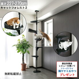 【最大2000円OFFクーポン配布】 OPPO CatForest2 キャットフォレスト2 ブラック [猫 ネコ タワー キャットタワー キャットツリー］