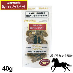 ynvZ^zRHznvZ^ Y{ ЂƂJbg 40g Lp [  L lR  ybg t[h] Y Y gbsO [THB JAPAN]