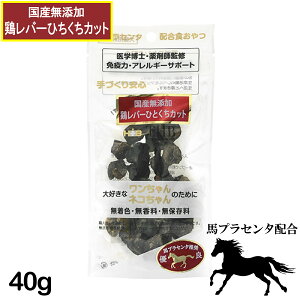 ynvZ^zRHznvZ^ Y{o[ ЂƂJbg 40g Lp [  L lR  ybg t[h] Y Y gbsO [THB JAPAN]