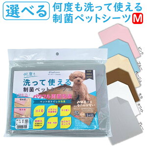 yő2000~OFFN[|zzz 􂦂ybgV[g ۃybgV[c M gCV[c ybgV[c gCV[g M[ z oϓI  L  pV[c bg [||