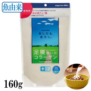 yő2000~OFFN[|zzzjbs R B 160g  [ hbO Tvg R[Q ֐ 畆 PA ybgpR[Q]