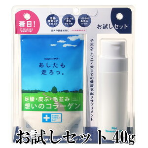 y}\ԃN[|zzzjbs BZbg 40g  [ hbO Tvg R[Q R ֐ 畆 PA ybgpR[Q]