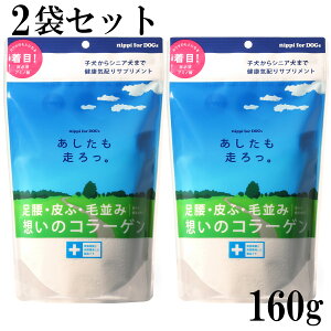 yő2000~OFFN[|zzzjbs B  160g 2܃Zbg [ hbO Tvg R[Q R ֐ 畆 PA ybgpR[Q]