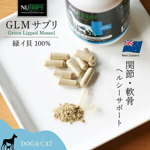 yő2000~OFFN[|zzzj[gCv GLM Tv 120 ΃CL 100% NUTRIPE  L ֐  畆  Tvg [t@^W[[h]