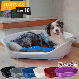 【最大2000円OFFクーポン配布中】 シエスタ SIESTA DX 10 ベッド プラスチック 犬 猫 洗える 寝具 丈夫 頑丈 ペット すべり防止 おしゃれ 清潔 丸洗い カラフル 動かない 壊れない 耐久性 オールシーズン イタリアferplast社 ファープラスト ファンタジーワールド