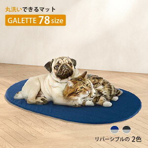 yő2000~OFFN[|zzz 􂦂 }bg Kbg 78 GALETTE  L@xbg NbV ybgp@C^Aferplast t@[vXg