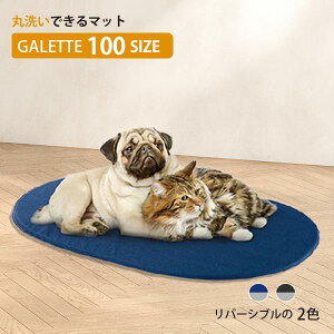 yő2000~OFFN[|zzz 􂦂 }bg Kbg 100 GALETTE  L@xbg NbV ybgp@C^Aferplast t@[vXg