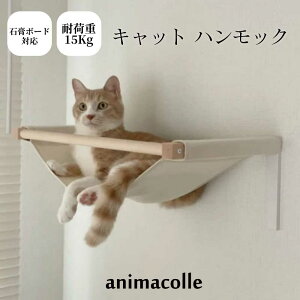 yanimacolle Lbg nbN LnbNz  LbgEH[N  LbgXebv  Lbg^[ X { S Ǖt I EH[VFt ΍p{[h n