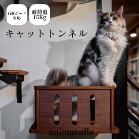 【moku to. キャットトンネル 猫のトンネル ウォールナット 】 公式 送料無料 キャットウォーク 賃貸 キャットステップ 壁付け キャットタワー スリム 日本製 木製 安全 棚 石膏ボード 下地なし 簡単組み立て ねこ 猫タワー 大型猫 コンパクト アニマコレ 耐荷重15kg