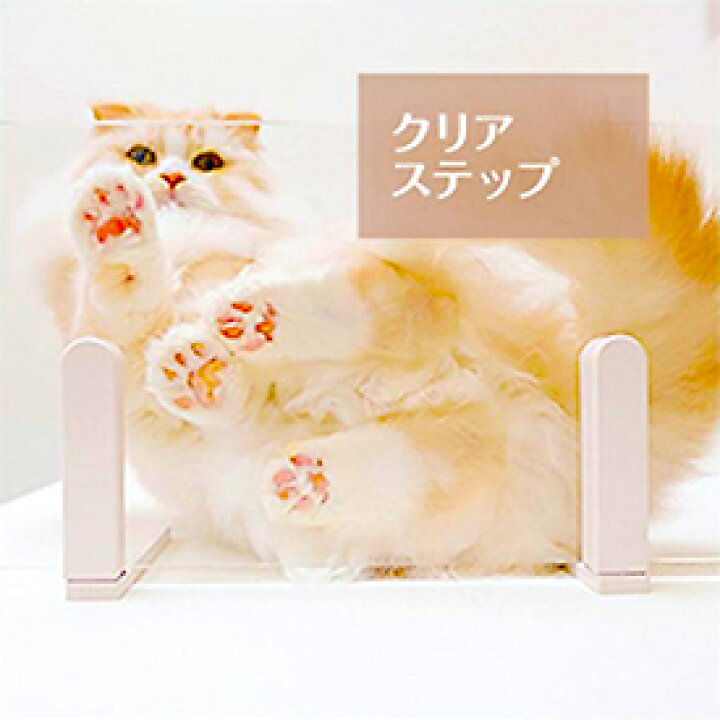 楽天市場 Animacolle クリアステップ 透明 正規店 キャットウォーク キャットステップ アクリル キャットタワー 日本製 猫 運動 遊び おもちゃ 多頭飼い 省スペース おしゃれ スリム Diy 壁 棚 ペット アニマコレ Animacolle