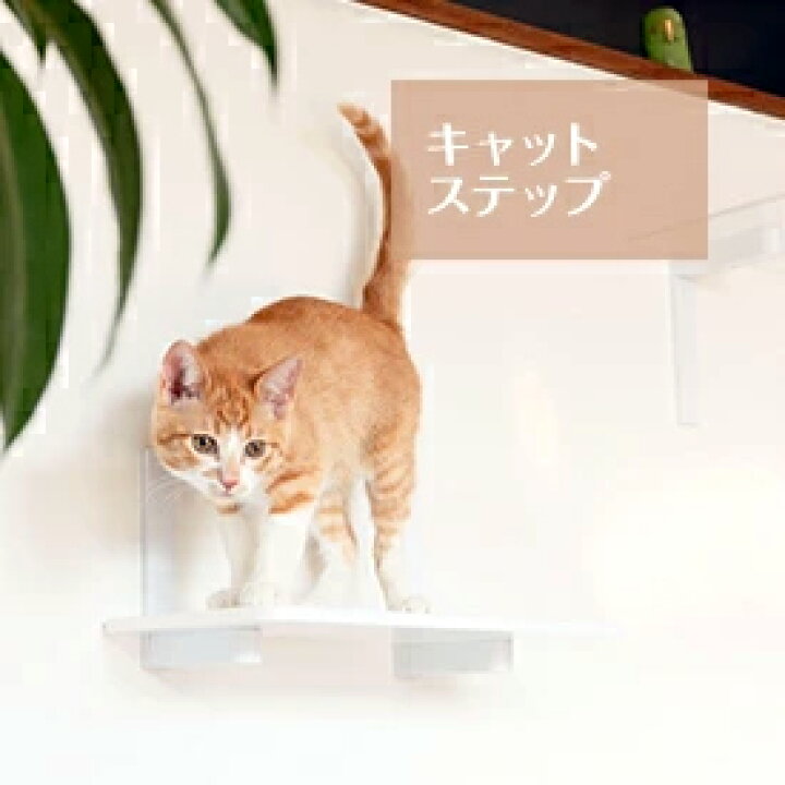楽天市場 キャットステップ 白 Animacolle キャットウォーク キャットステップ キャットタワー 正規店 日本製 安全 壁付け 棚板 足場 猫 ねこ キャットツリー キャットロード 多頭飼い スリム コンパクト Diy 壁 棚 肉球 送料無料 あす楽 アニマコレ 人気 おしゃれ