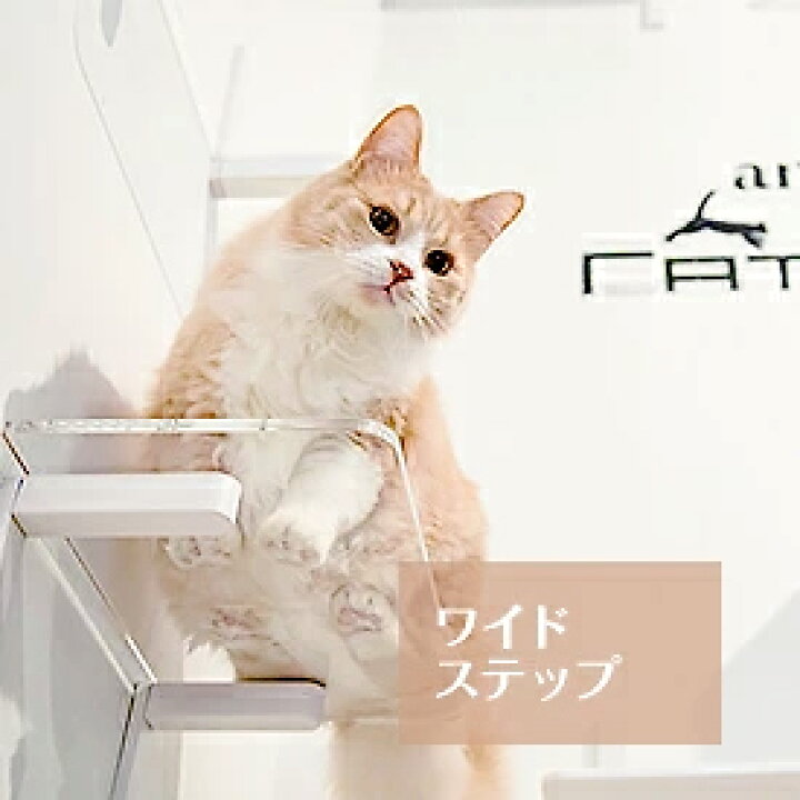 楽天市場】【ワイドステップ 透明】 animacolle キャットウォーク  