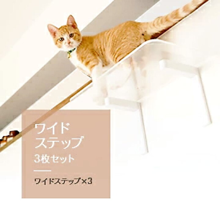 楽天市場】【ワイドステップ 透明3枚セット】animacolle キャット 