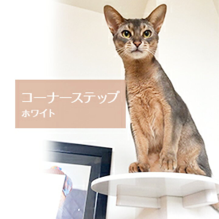 楽天市場 Animacolle コーナーステップ白 キャットウォーク キャットステップ キャットタワー 正規店 日本製 安全 アクリル 人気 キャットロード 大型猫 おもちゃ ねこ 運動 遊び 多頭飼い スリム コンパクト Diy 壁 棚 角 送料無料 アニマコレ Animacolle