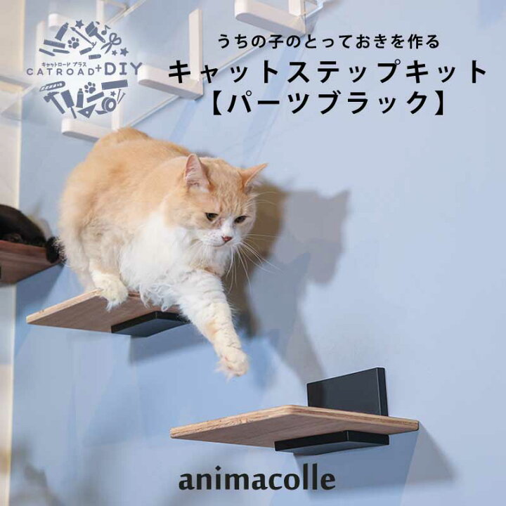 楽天市場】 【animacolle キャットステップキット(パーツブラック  