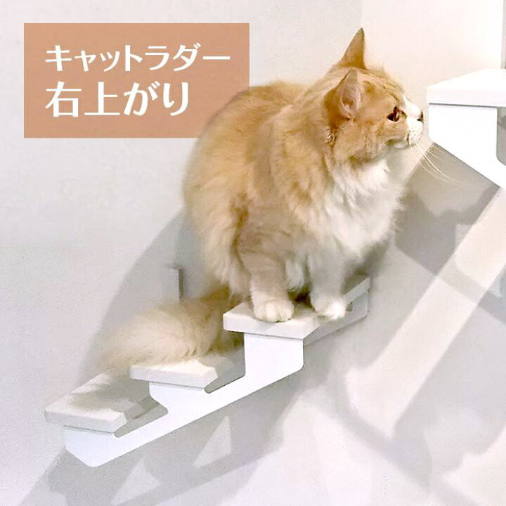 楽天市場 キャットラダー 右上り Animacolle キャットウォーク キャットステップ キャットタワー 正規店 はしご 階段 日本製 安全 壁付け 棚板 足場 コンパクト 省スペース おしゃれ 猫 運動不足 ストレス解消 壁 棚 Diy 設置 簡単 送料無料 あす楽 アニマコレ賃貸