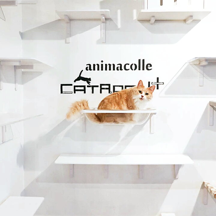 楽天市場】【animacolle キャットバス】 公式 送料無料 キャット 